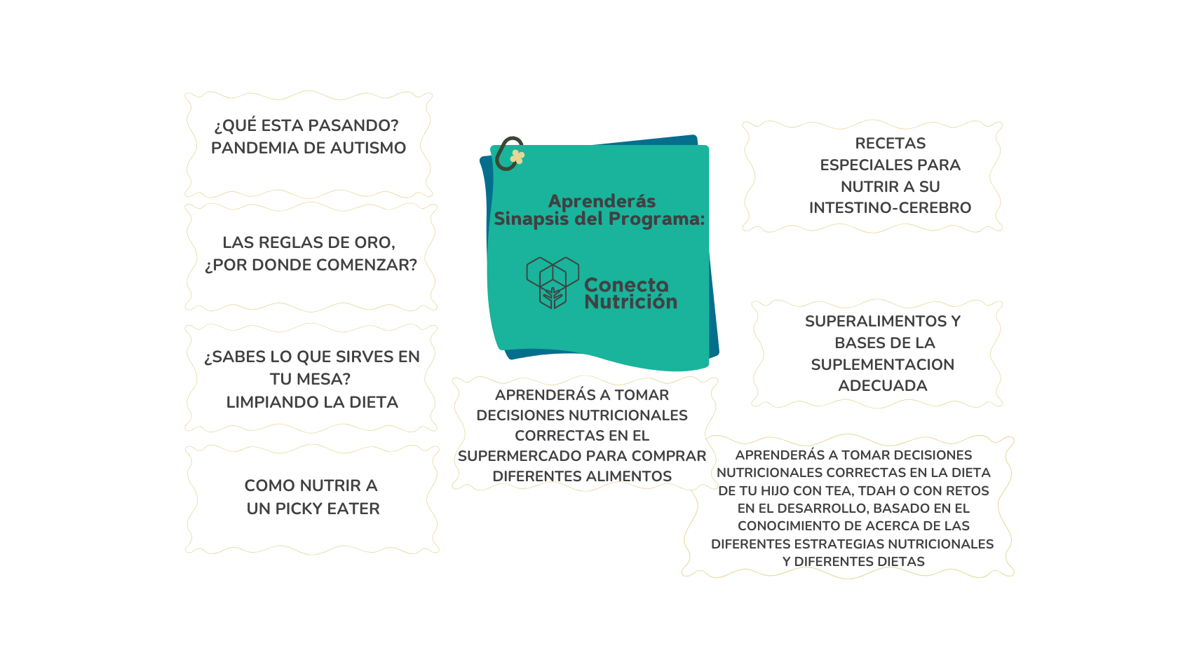 PROGRAMA 2